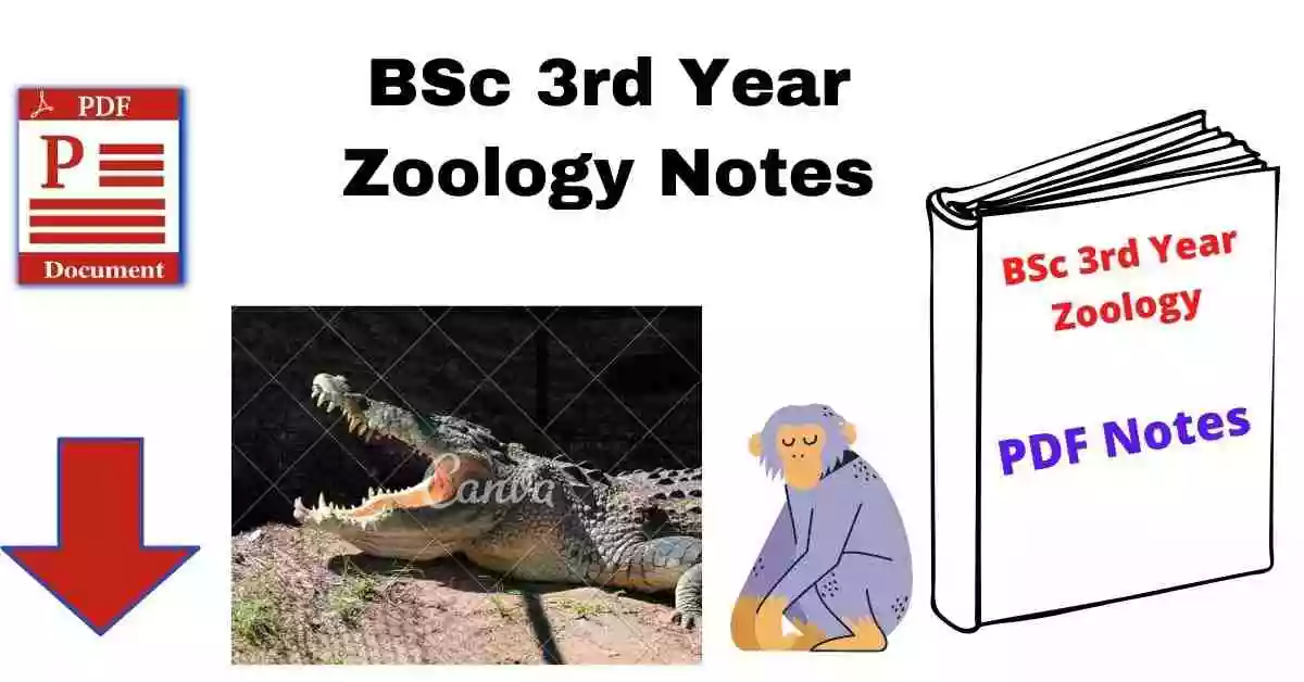 BSc 3rd Year Zoology Notes Pdf Download in Hindi, English, Syllabus